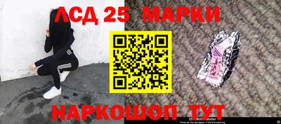 винт Сланцы