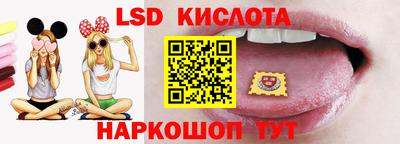 винт Сланцы