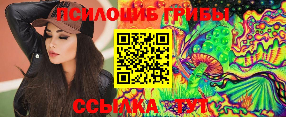 Галлюциногенные грибы прущие грибы Осинники