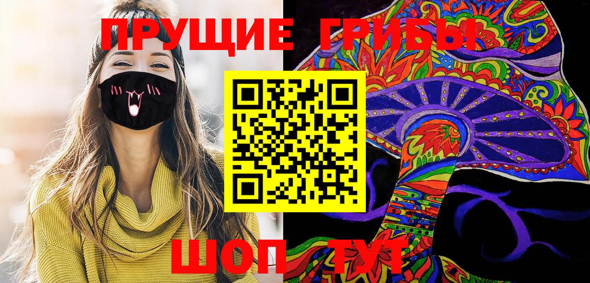 Псилоцибиновые грибы Psilocybe  Вход с VPN  Осинники 